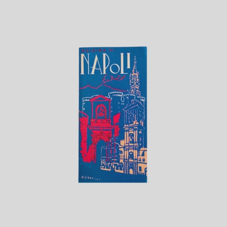 Visceglia Guidina di Napoli copertina