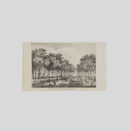 Foggia Litografia 1837 Poliorama Pittoresco