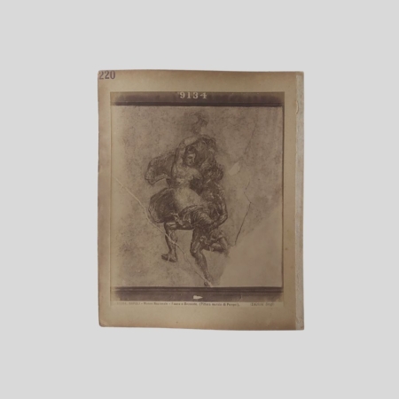 Giacomo Brogi Fotografia all'albumina Napoli Museo Nazionale Fauno e Beccante