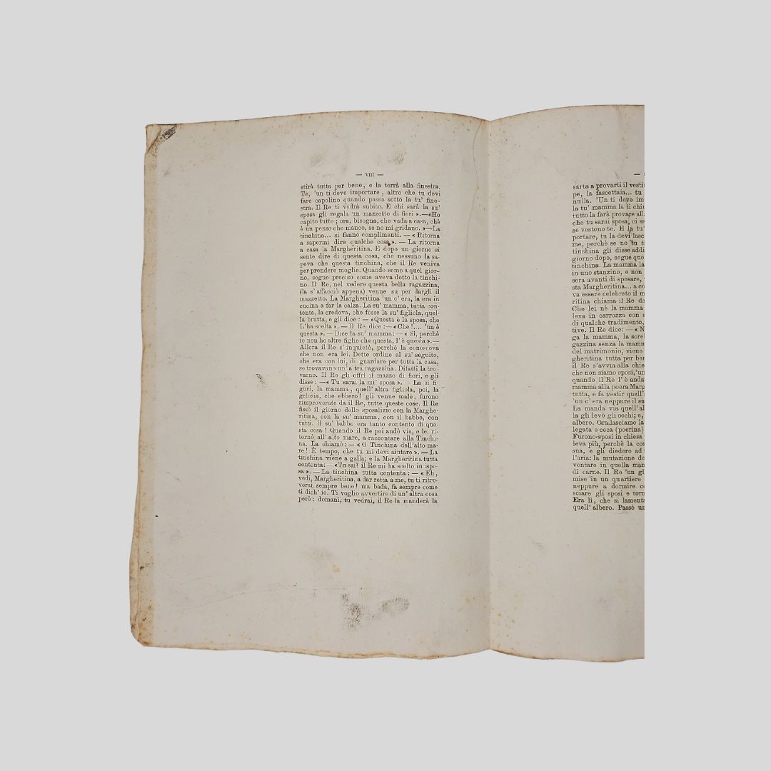 La Tinchina dell'alto mare, Quattrasteriscopoli 1882. Pagine interne